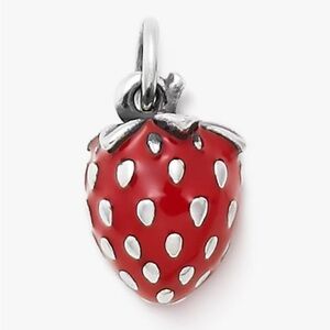 James Avery Enamel Wild Strawberry Charm